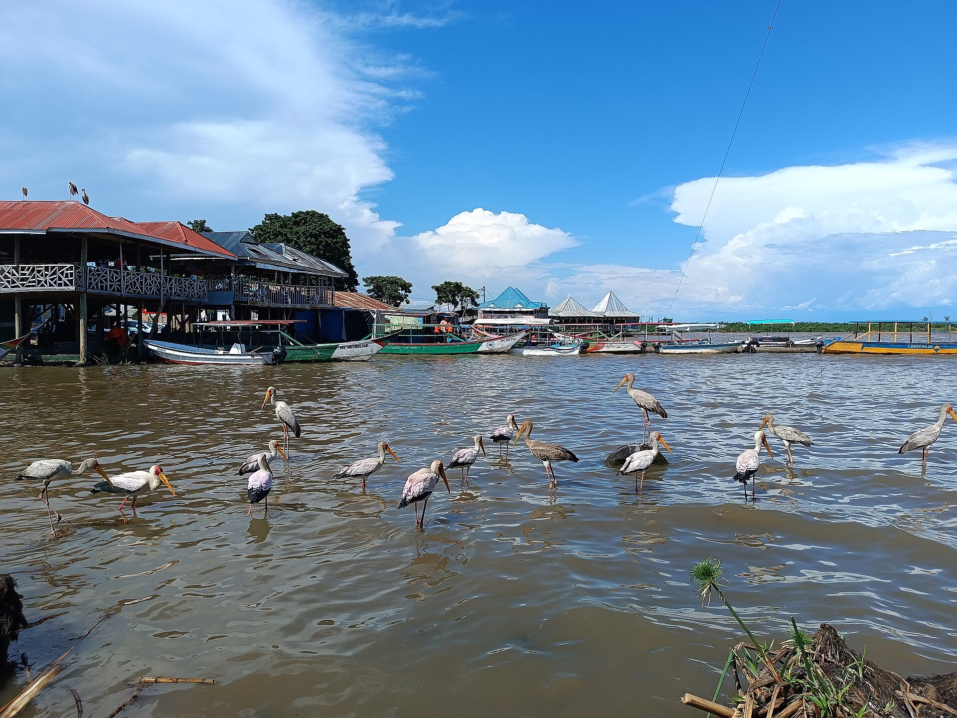 Lake Victoria shoreline near Kisumu