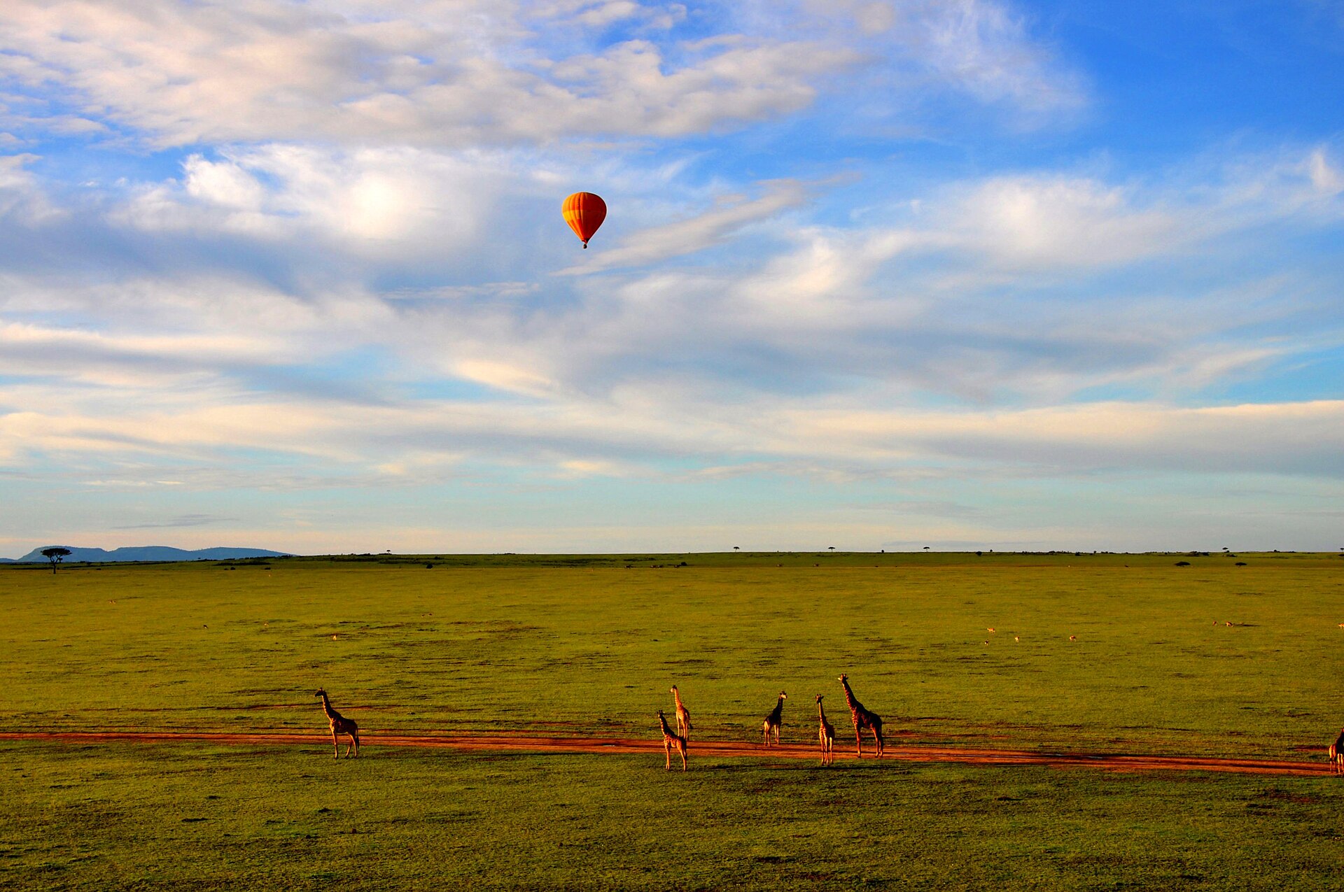 Savannah landscape in the Maasai Mara