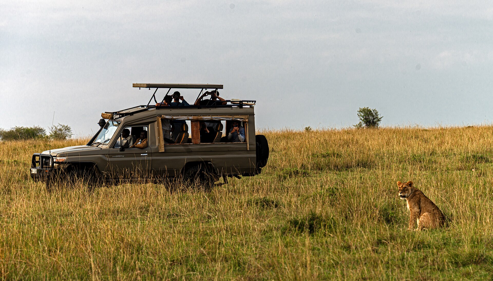 Tours and Safaris