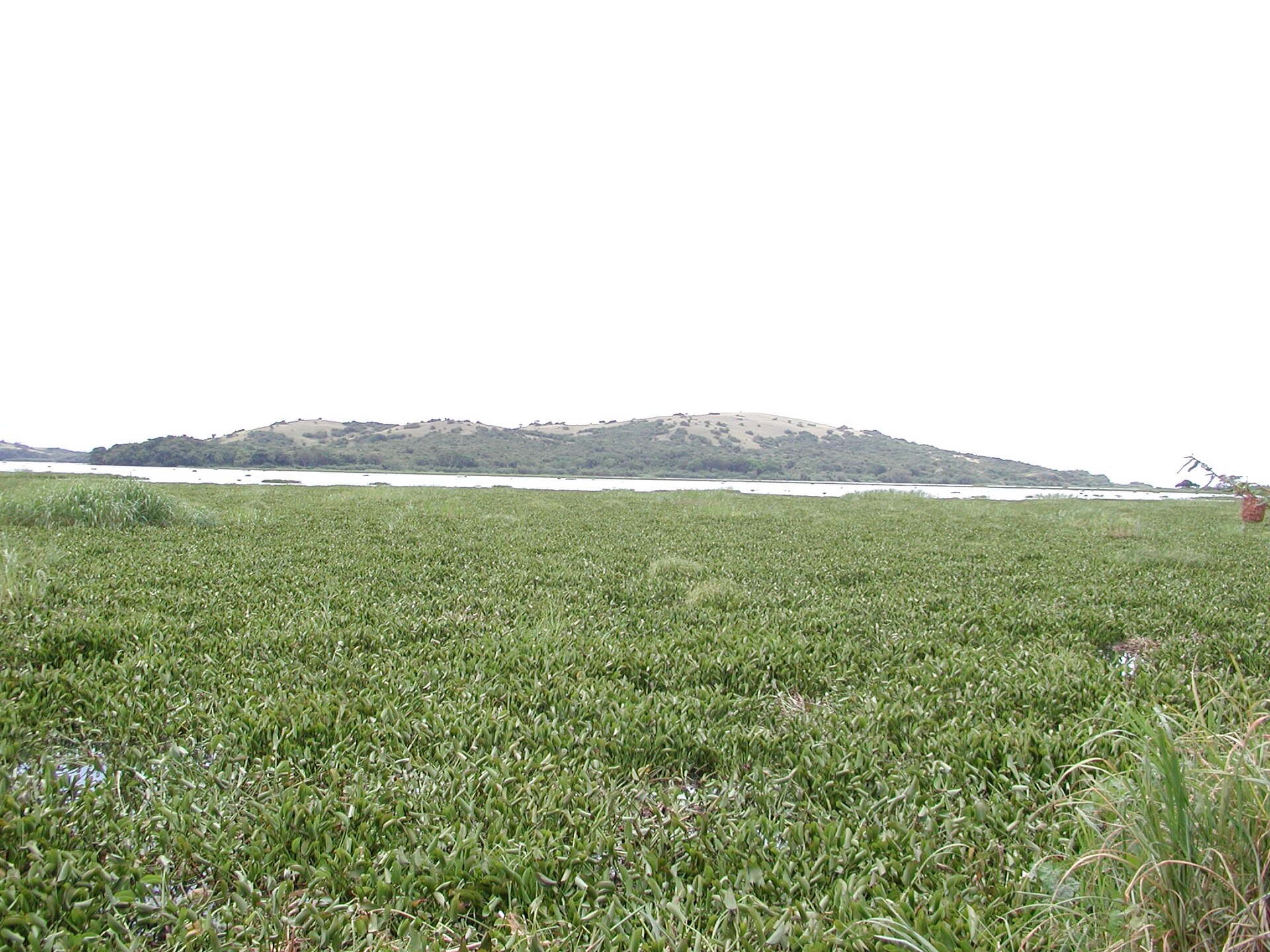 Boat on Lake Victoria